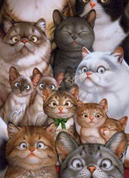 Коты Макото Мурамацу