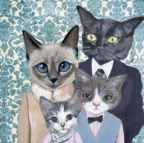 Картинки семья котиков (49 фото)