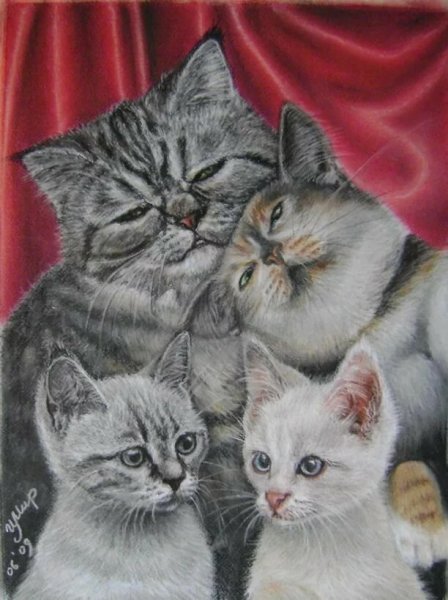 Кошачья семейка