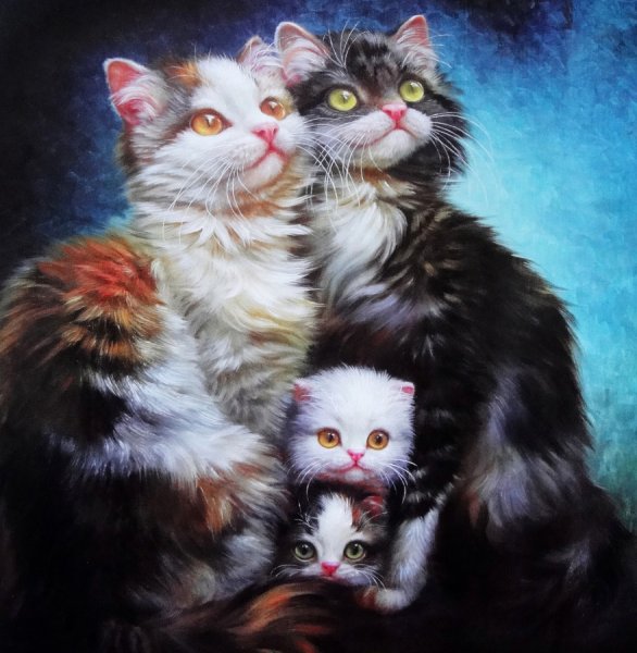 Художник Judy Gibson