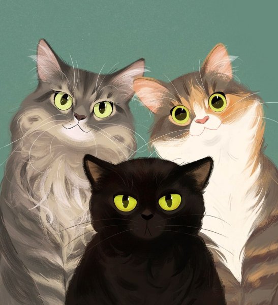 Картинки семья кошек (49 фото)