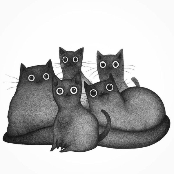 Семейка котов