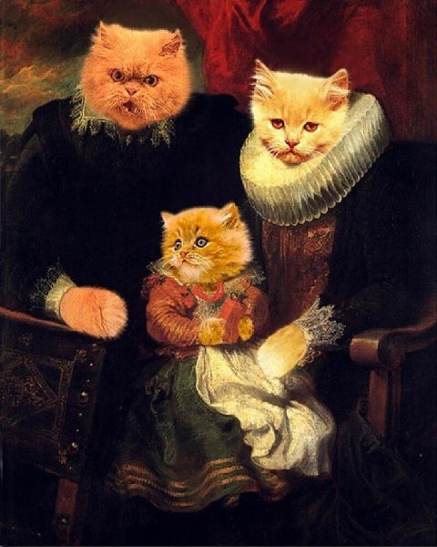 Кот картина