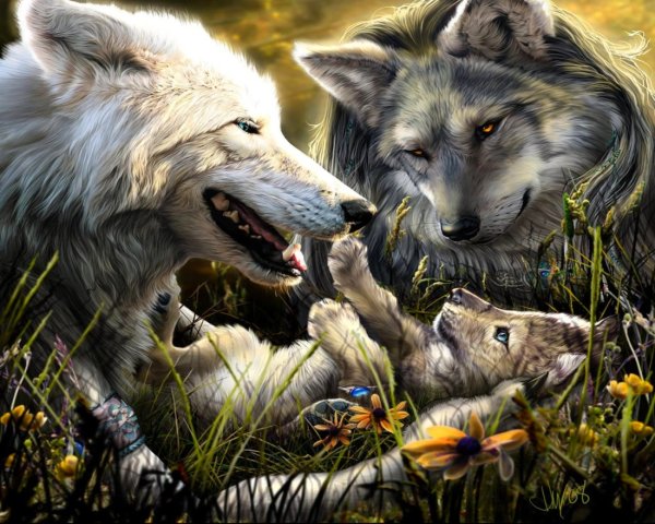 Картинки волчья семья (47 фото)