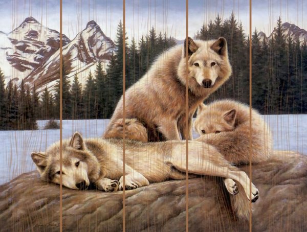 Алмазная мозаика диамонд Painting хаски