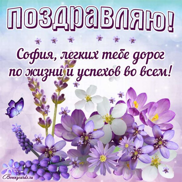 С днём рождения София
