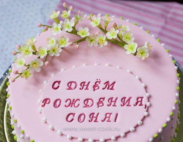 С днём рождения Сонечка