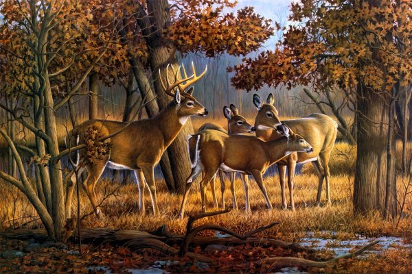 Пейзаж с дикими животными