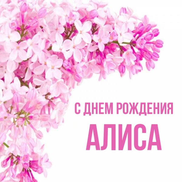 Лёшик с днём рождения