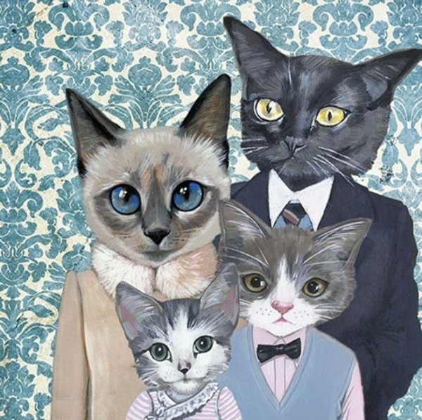 Семья котов