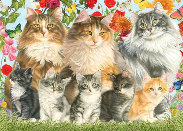Кошачья семейка