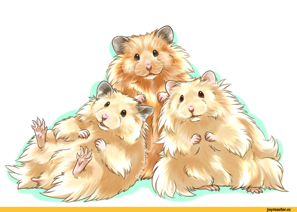 Семья хомяков