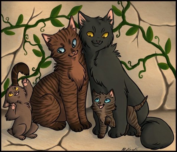 Коты Воители ветерок и Верескоглазка