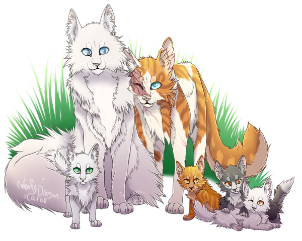 Коты Воители белохвост