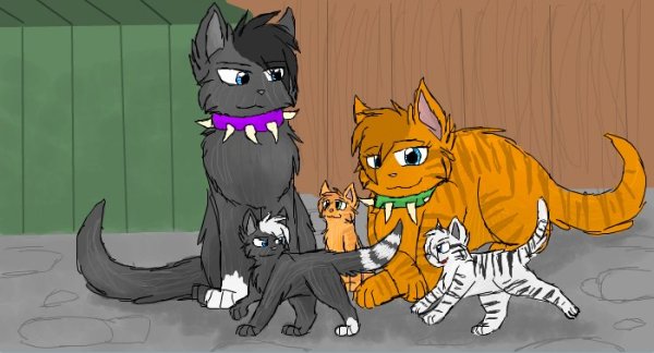 Коты Воители Бич и Огнезвёзд любовь