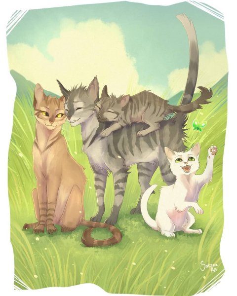 Коты Воители белолапа и Березовик