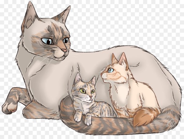 Коты Воители кошка с котятами