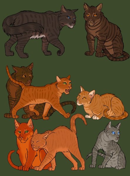 Коты Воители Белочка и ежевика Огнезвёзд
