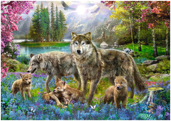 Картинки семья волков (47 фото)