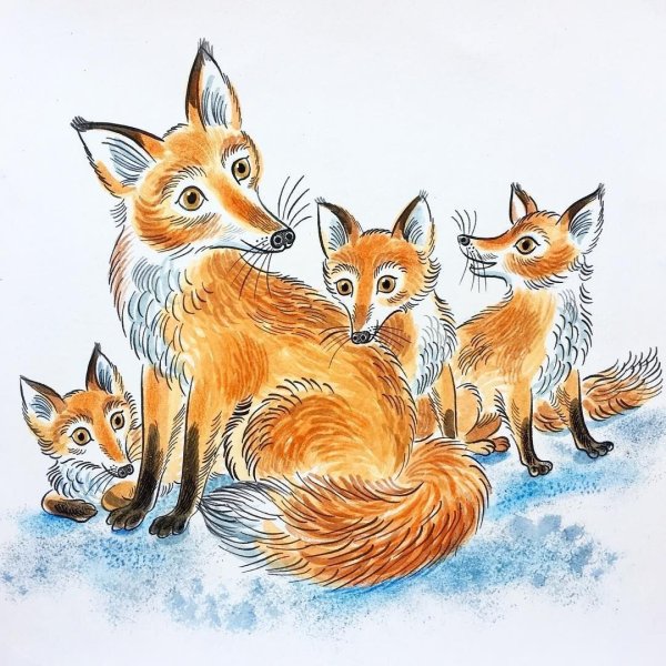 Картинки семья лисичек (48 фото)