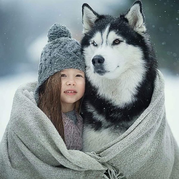 Хаски и дети