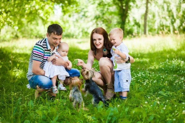 Счастливая семья на природе