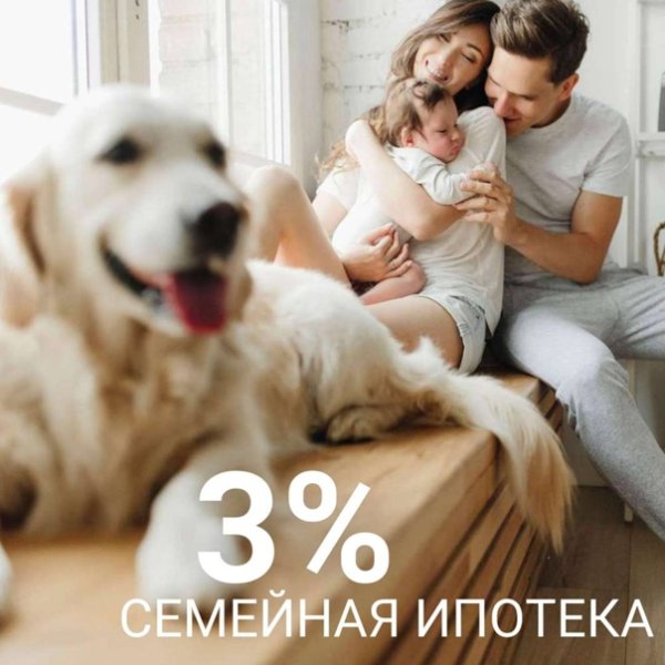 Семья с собакой