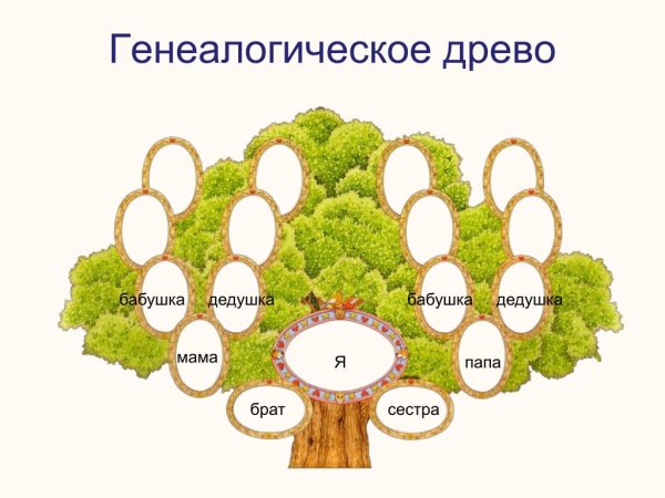 Генеалогическое Древо семьи