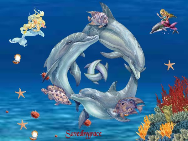 Сказочные морские животные