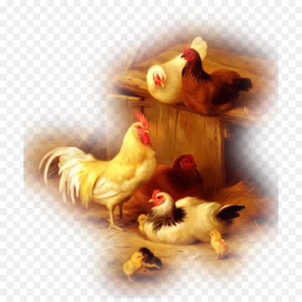 Петух курица цыпленок