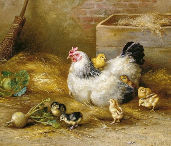 Картинки куриная семья (47 фото)