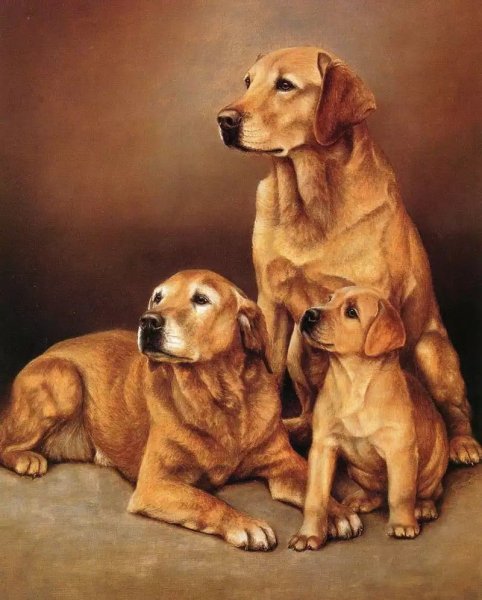 Художник - Daniel Kevin Hemming