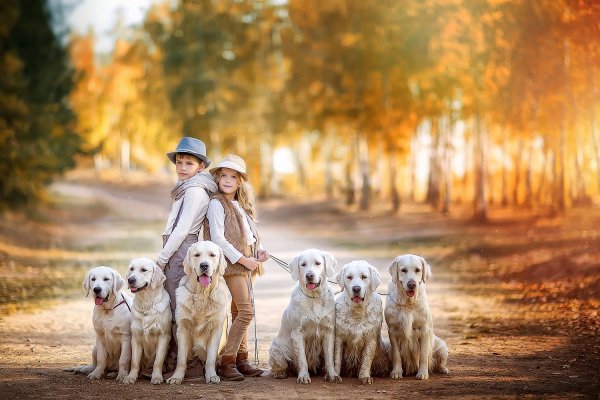 Фотосессия семьи с собакой