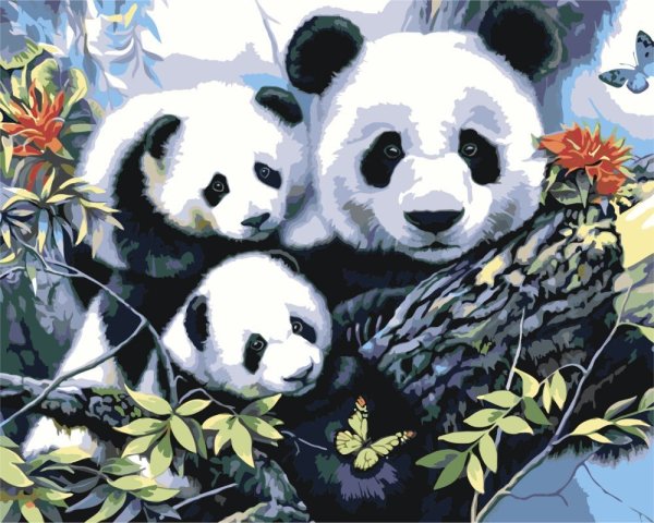 Две панды в зарослях бамбука / Животные Раскраска картина по номерам для детей на холсте AAAA-V0026