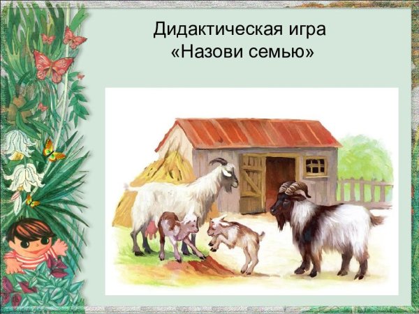 Семья. Домашние животные