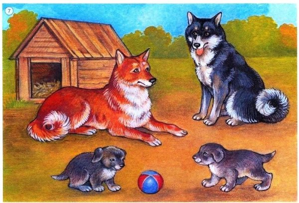 Семьи домашних животных