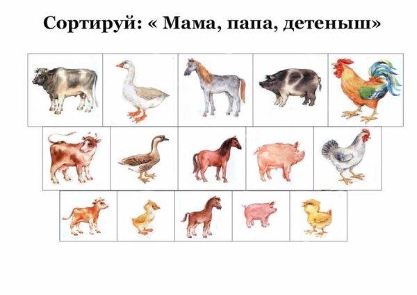 Карточки с домашними животными и их детенышами