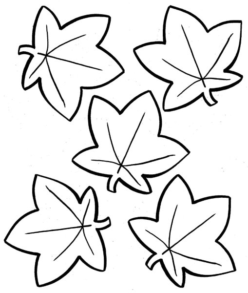 Листочки раскраска