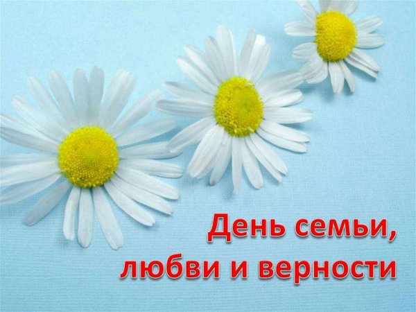 День семьи ромашки