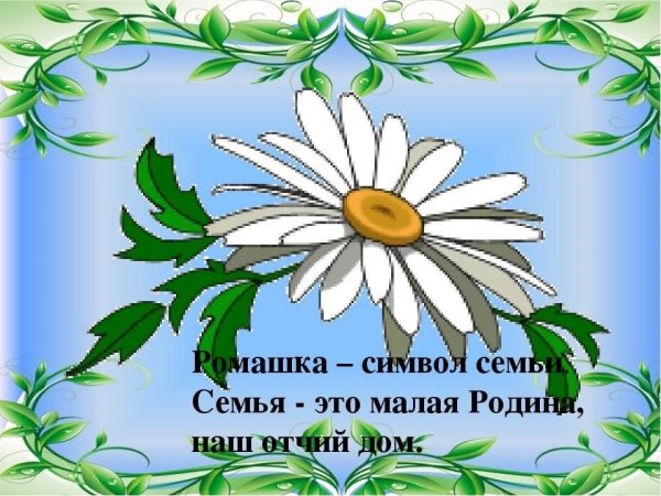 Ромашка символ семьи