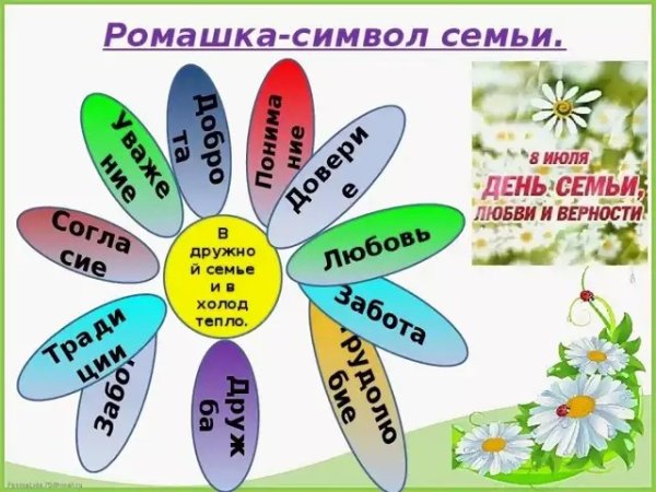 Ромашка символ семьи
