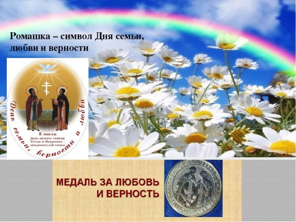 День семьи любви и верности Ромашка