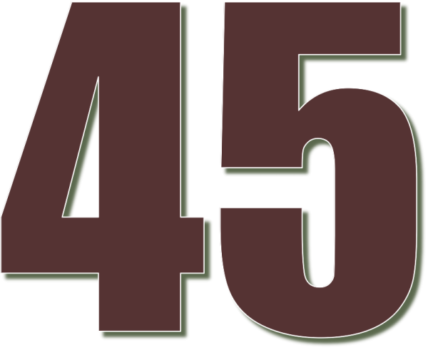Цифра 45