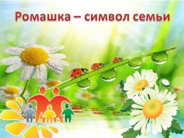 День семьи Ромашка символ
