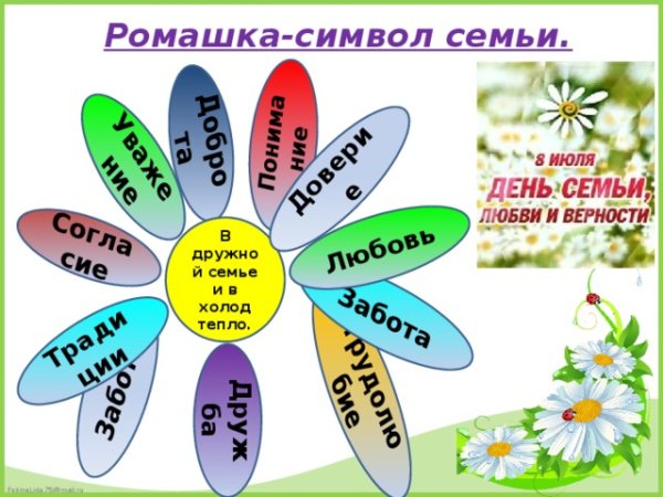 Ромашка символ семьи