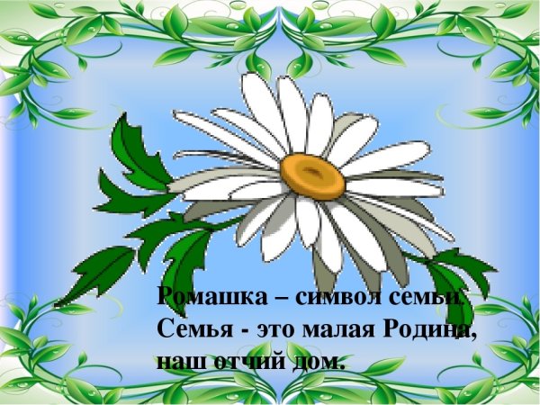 Ромашка символ семьи