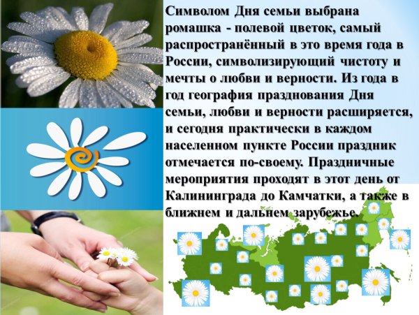 Ромашка символ семьи