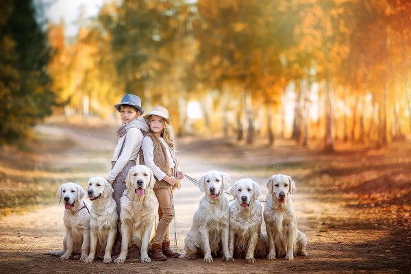 Фотосессия семьи с собакой