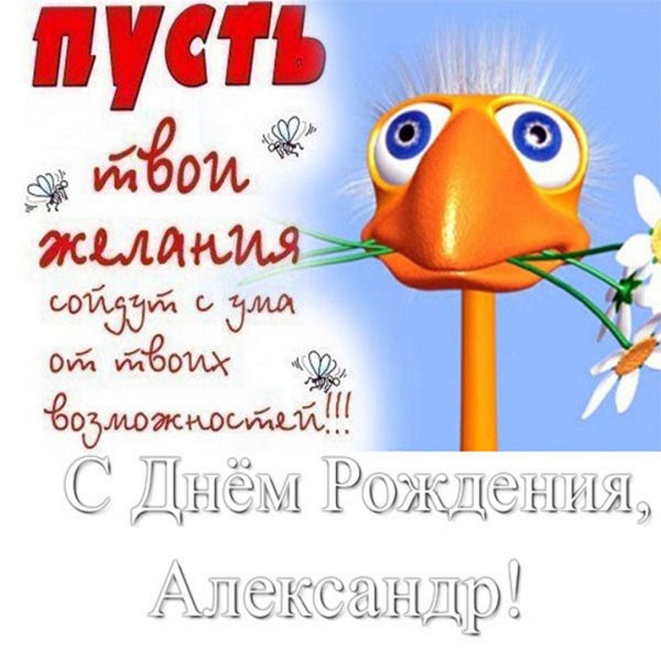 Лёша с днём рождения поздравления