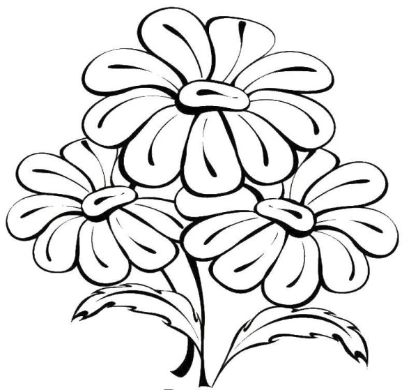 Цветы. Раскраска